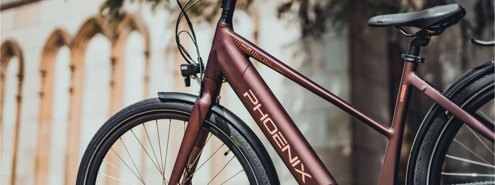 凤凰 Phoenix 锂电自行车车架与车轮特写。