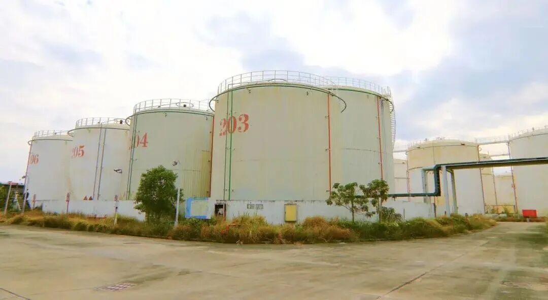 中国文化产业促进会产业投资分会携寻风集等优质生态企业受邀与厦门国有资本运营有限责任公司及旗下厦门文化旅游投资发展集团开展座谈 图片 2
