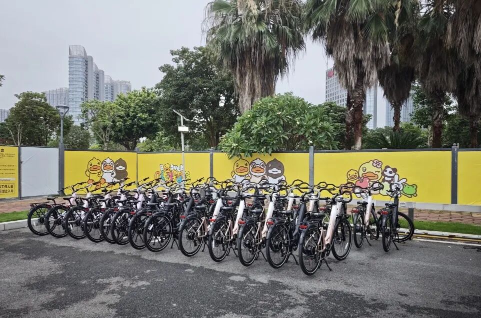 寻风集电助力自行车落地厦门环东浪漫线