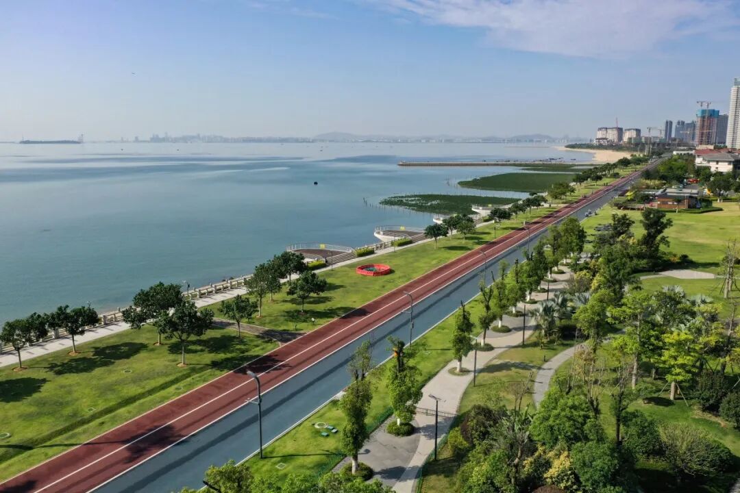 寻风集电助力自行车落地厦门环东浪漫线 图片 1